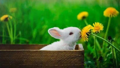 欧洲杯手机观看-2025中国金球奖揭晓：U23国足获组委会特别奖